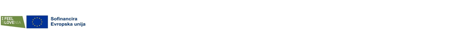 8119069737734677_untitled-design-1.png
