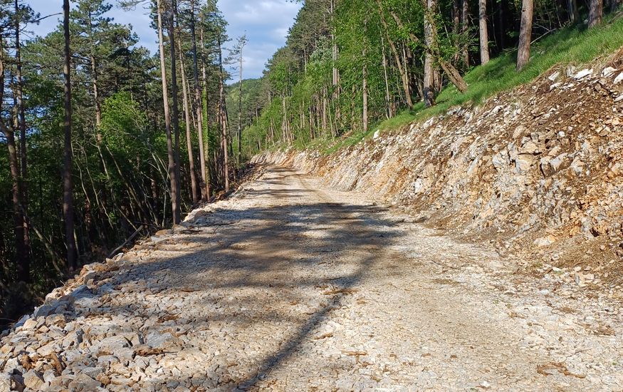 Na sliki je ravna makadamska gozda cesta